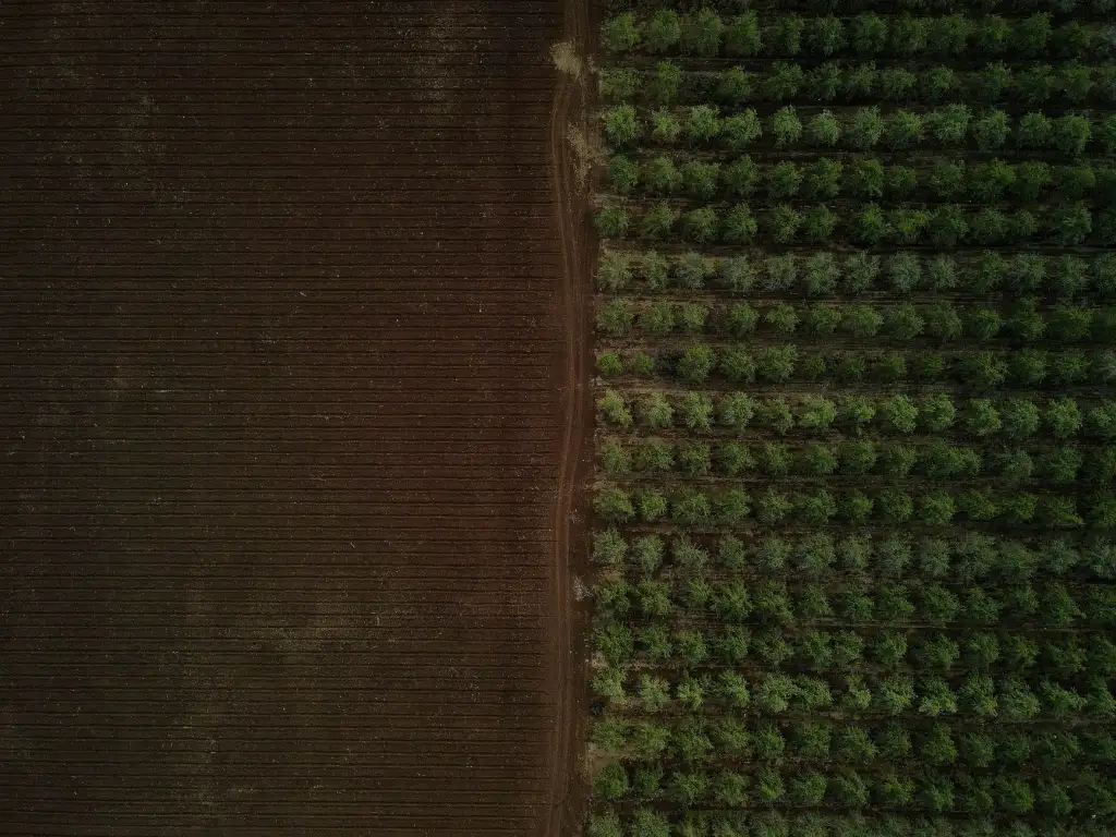 甲油胶批发采购质量评估标准与常见问题解析